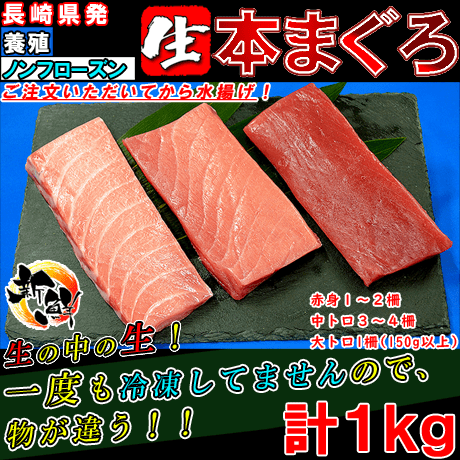 街角百貨店】 長崎県発 養殖 生 本まぐろ ノンフローズン１ｋｇ